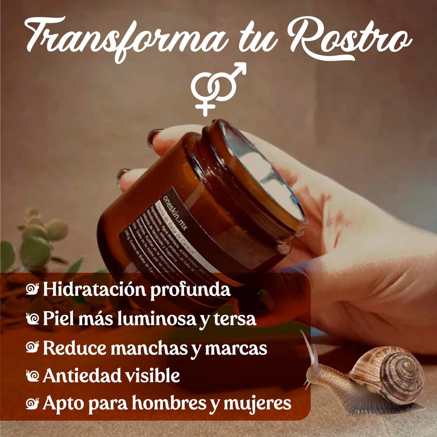 Crema Facial Rejuvenecedora con Baba de Caracol & Colágeno