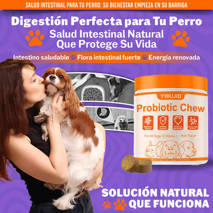 Probióticos 100 Naturales para el apoyo intestinal e inmunológico de tu mascota