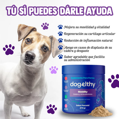 Suplemento Articular para Perros