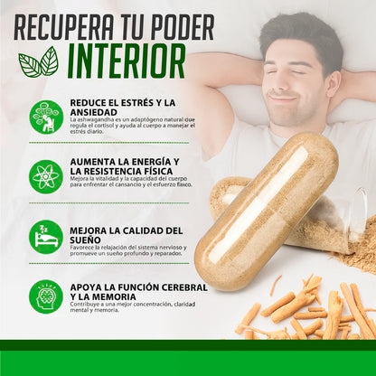 Suplemento Orgánico de Ashwagandha regulador de estrés